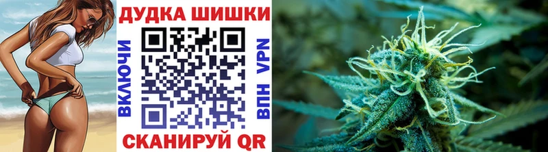 Конопля ГИДРОПОН  Невинномысск 